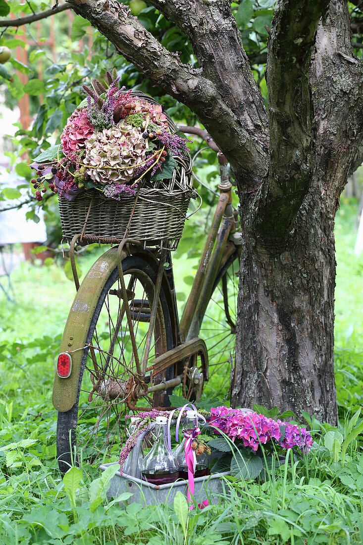 Basket with autumn bouquet on an antique bicycle