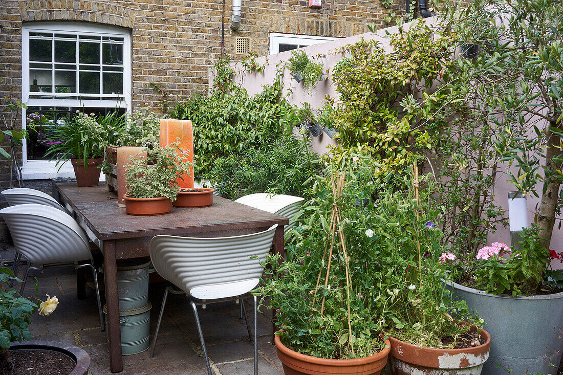 Vintage Tisch mit Schalenstühlen und Pflanzen im kleinen Innenhof