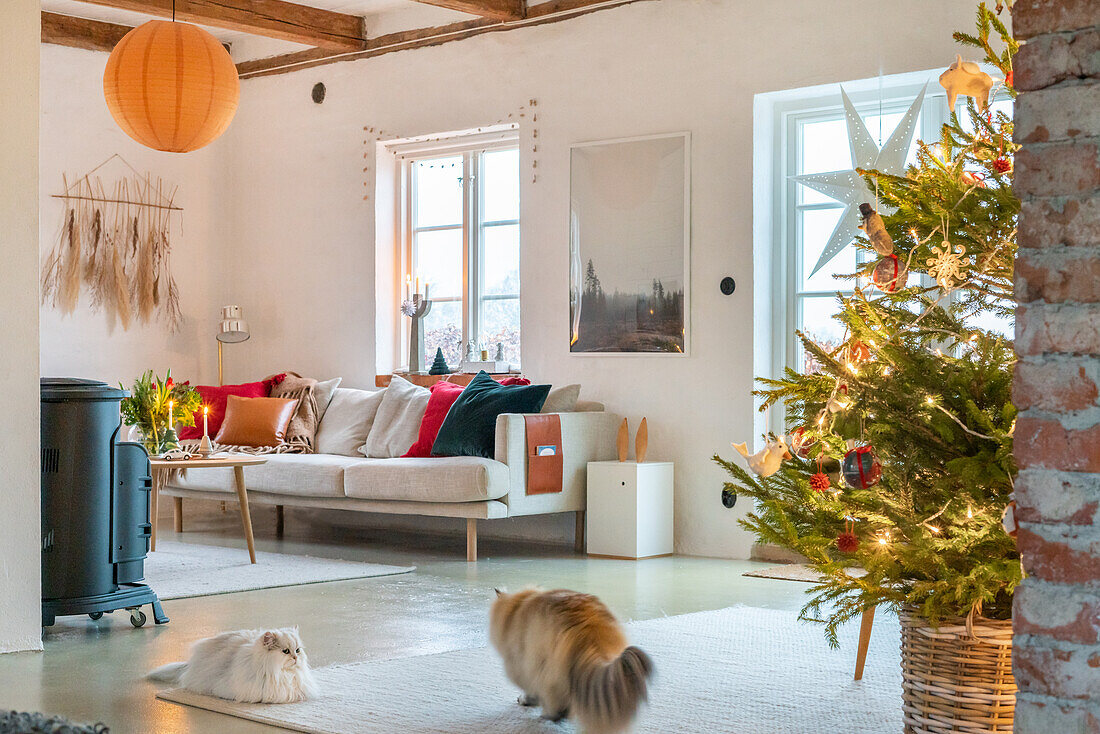 Weihnachtlich geschmücktes Wohnzimmer mit zwei Katzen, einem Kaminofen und Tannenbaum