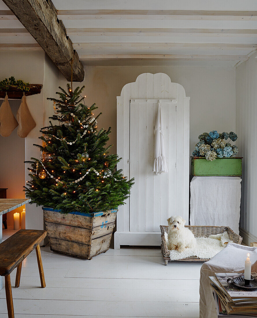 Christmas decorated tree next to white cupboard in rustic room