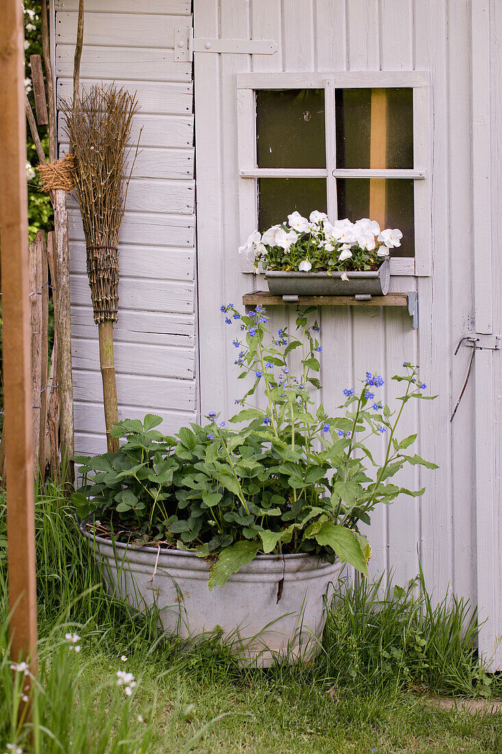 White garden door with flower box and metal tub with perennials