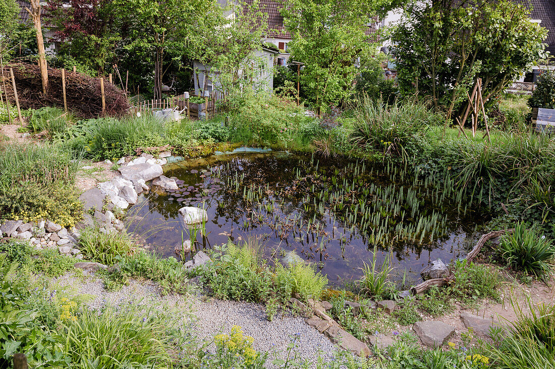Natural garden pond with stones and aquatic plants