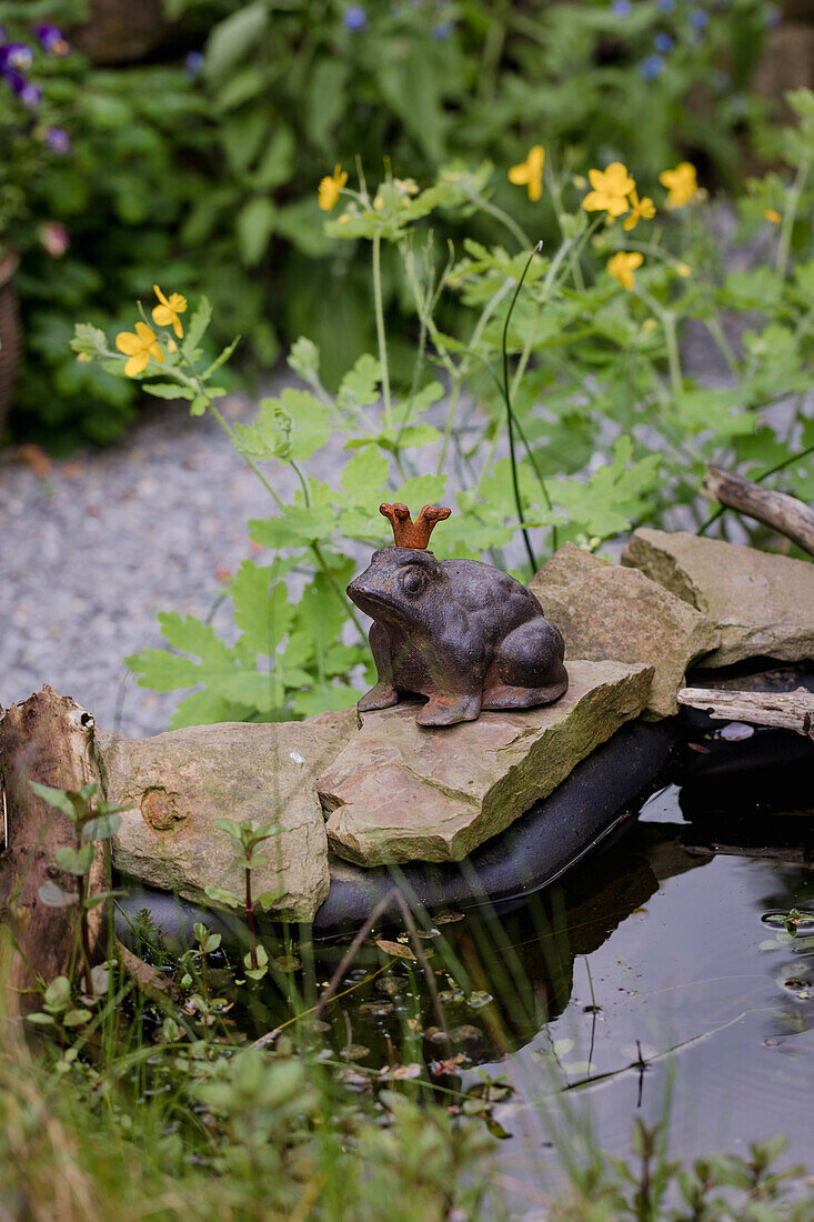 Garden pond with frog figurine and buttercup
