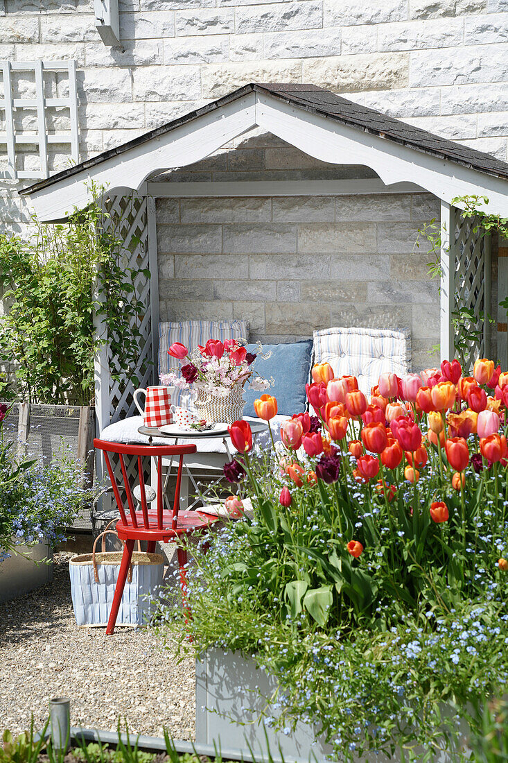 Überdachter Platz im Garten mit Tulpenbeet (Tulipa) und gedecktem Tisch im Frühling