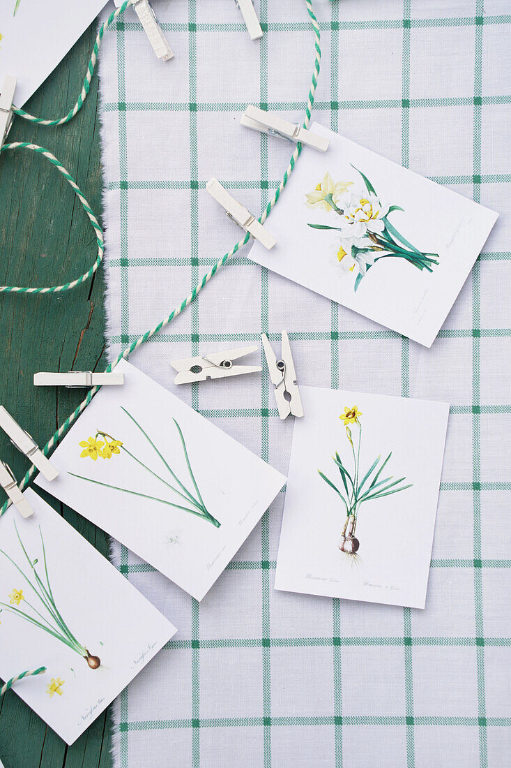 Postcards with floral illustrations on a string on a chequered background