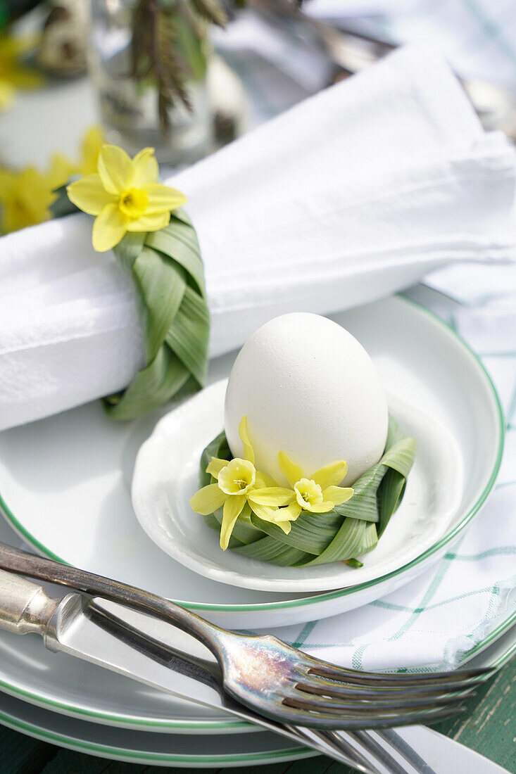 Easter breakfast with egg and daffodil (Narcissus) decoration on green and white crockery