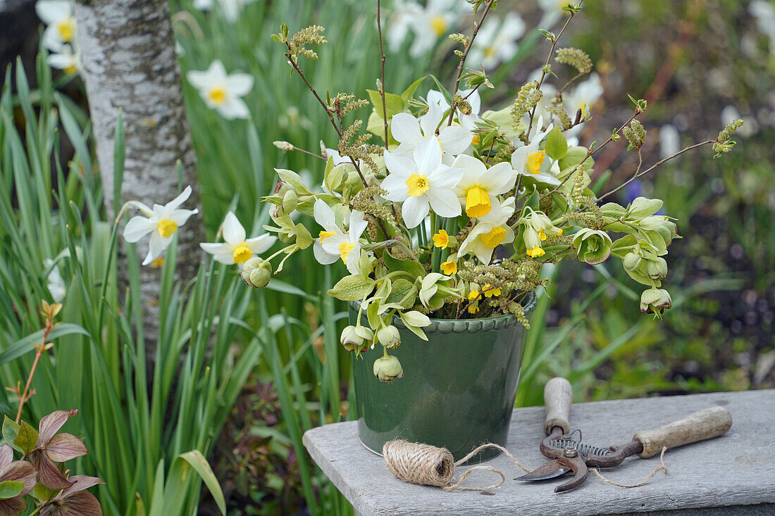 Daffodils and spring greenery in a green planter on a garden bench
