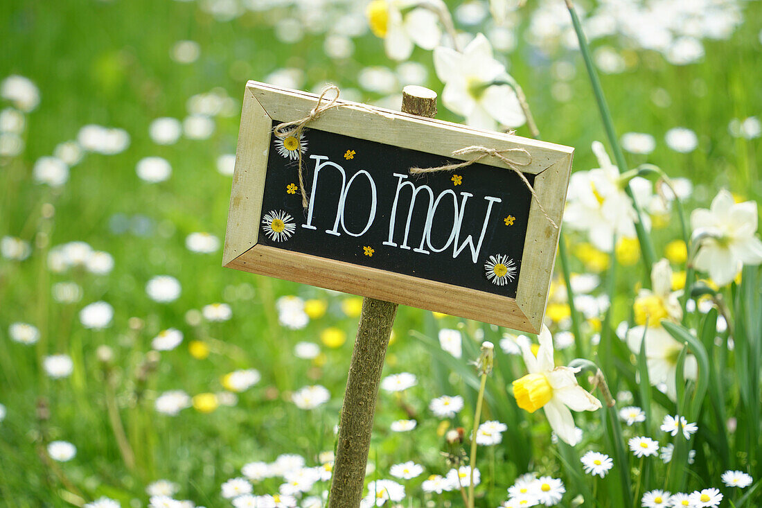 Sign in blooming spring meadow