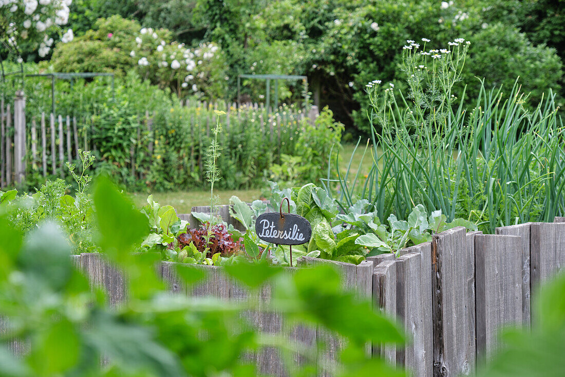 Garten mit Holzzaun und Schild "Petersilie" im Vordergrund