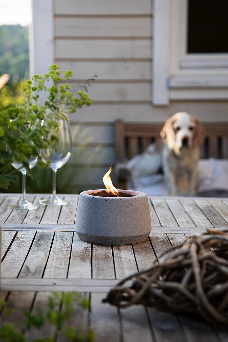 Tisch-Feuerstelle auf Holztisch, im Hintergrund Hund auf Bank