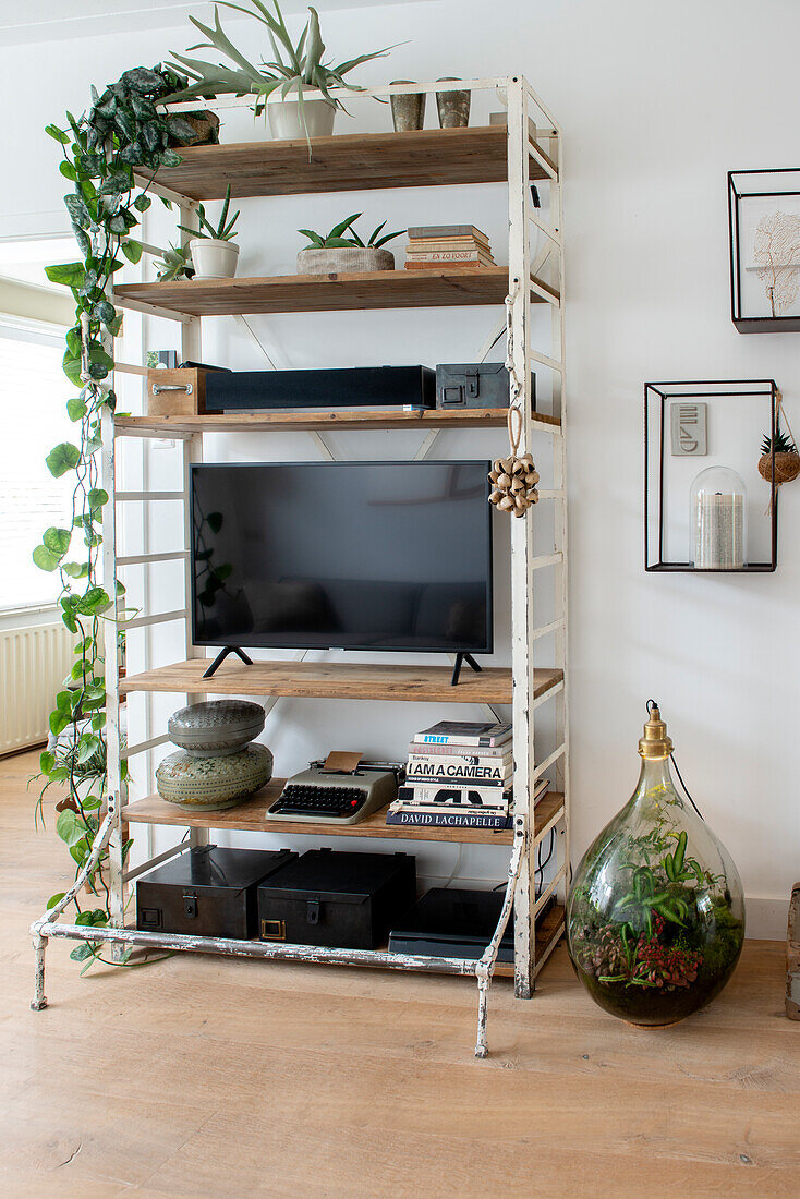 Shelf with plants and television