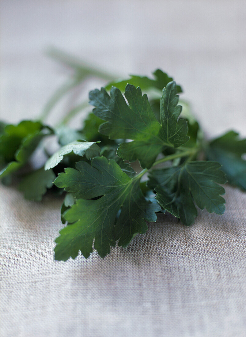 Flat leaf parsley
