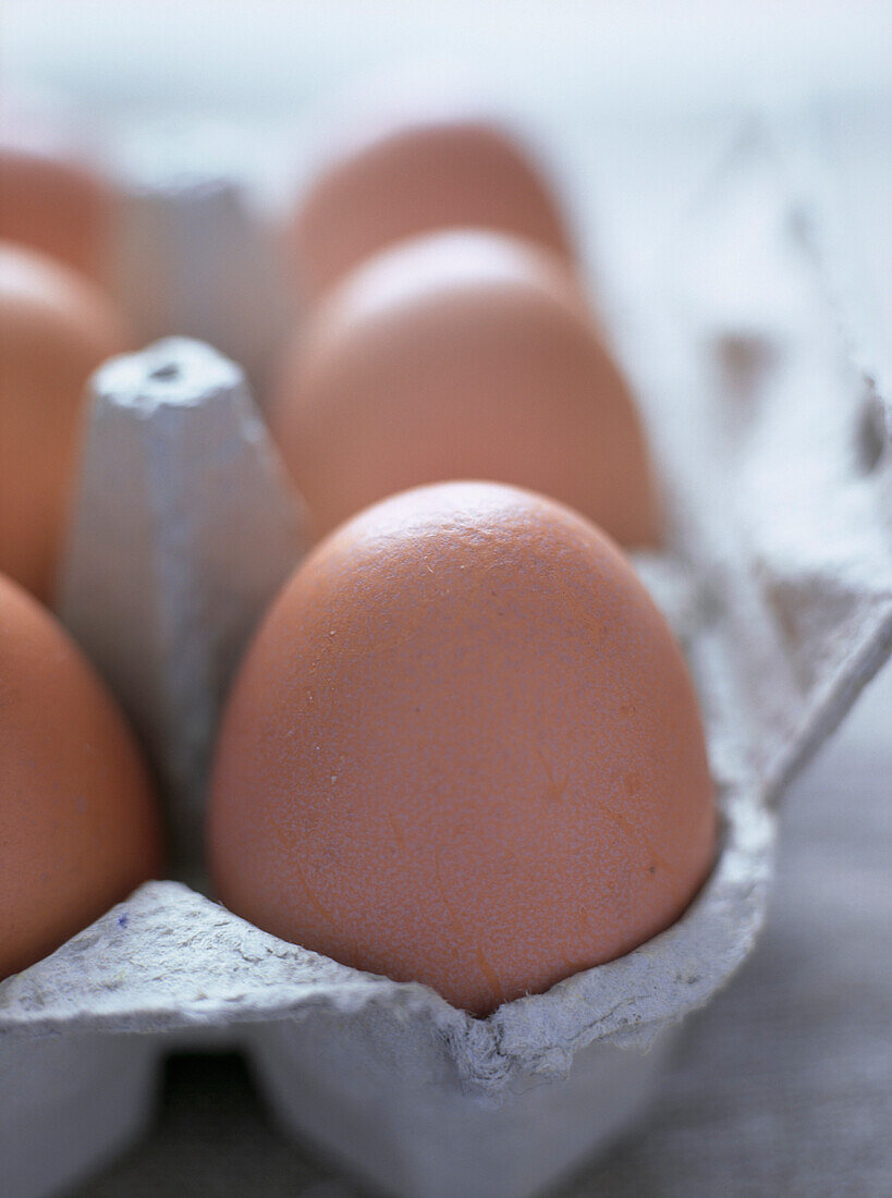 Braune Eier in einem Eierkarton