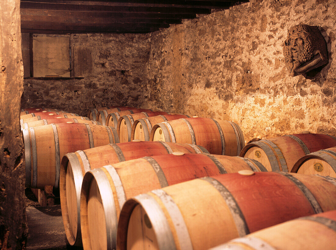 Mit Fässern gefüllter Weinkeller in einem französischen Weingut
