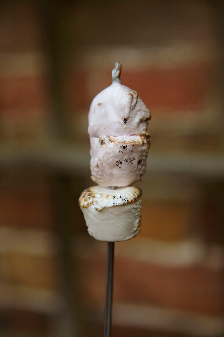 A toasted marshmallow on a skewer