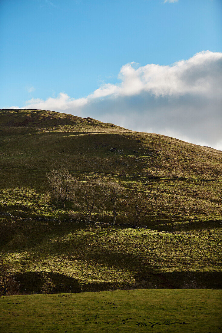 Sunlit hillside in North Yorkshire, UK