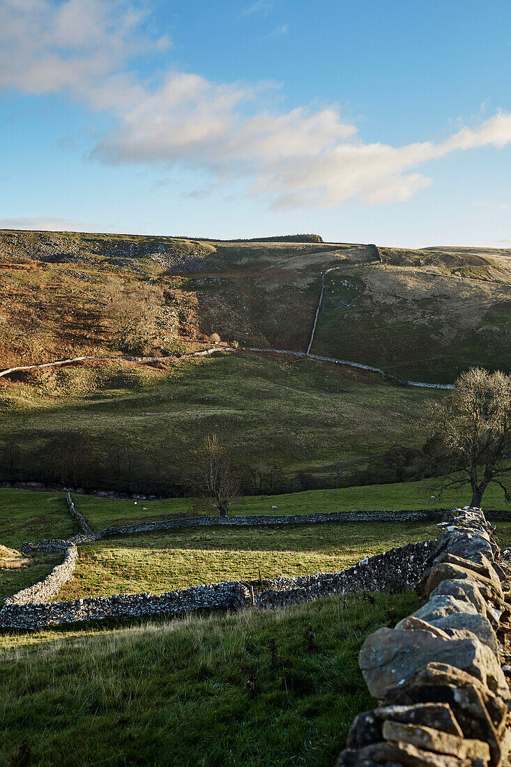 Drystone walls and farmland on North Yorkshire hillside in Autumn, UK