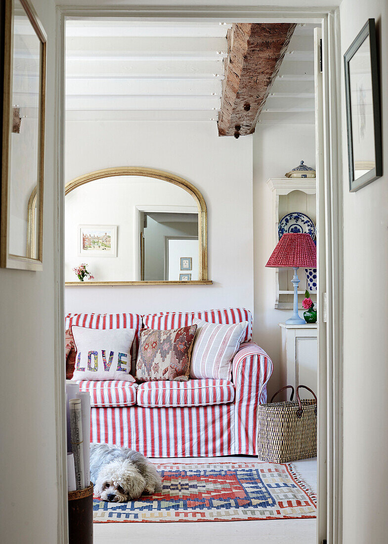 Pet dog lies in front of red and white striped sofa with gilt framed mirrors in cottage, UK
