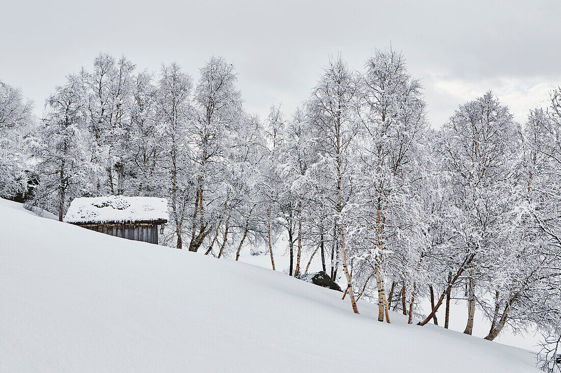 Blick auf die Sauna von Litlestol in einer Holzhütte in den Bergen von Sirdal, Norwegen