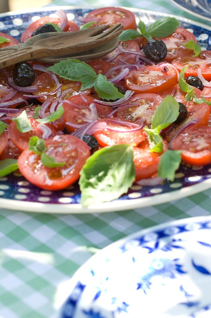 Tomaten-Basilikum-Salat (Nahaufnahme)