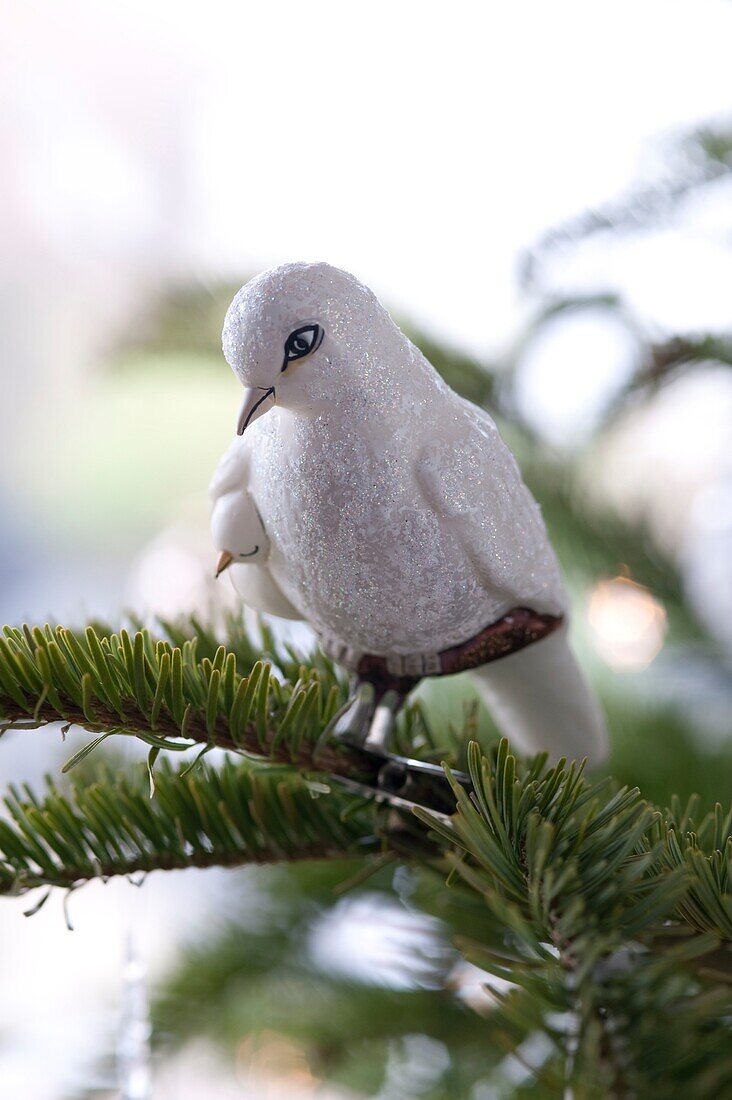 Bird decoration on Christmas tree