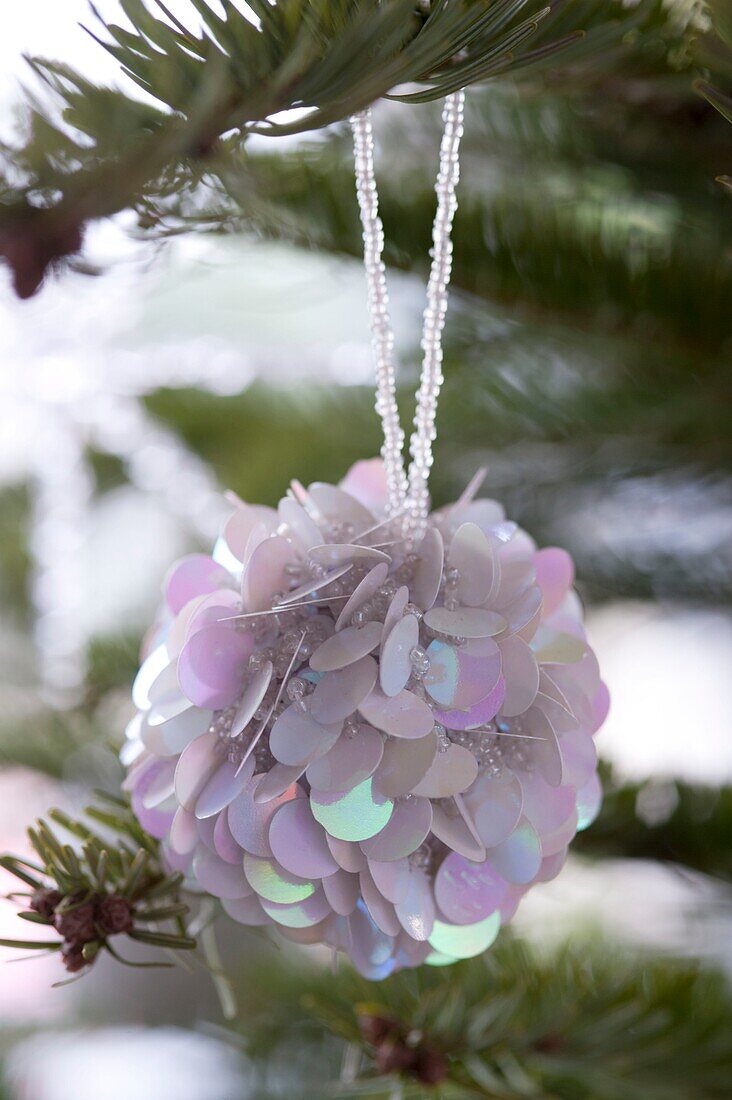 Bauble hanging on Christmas tree