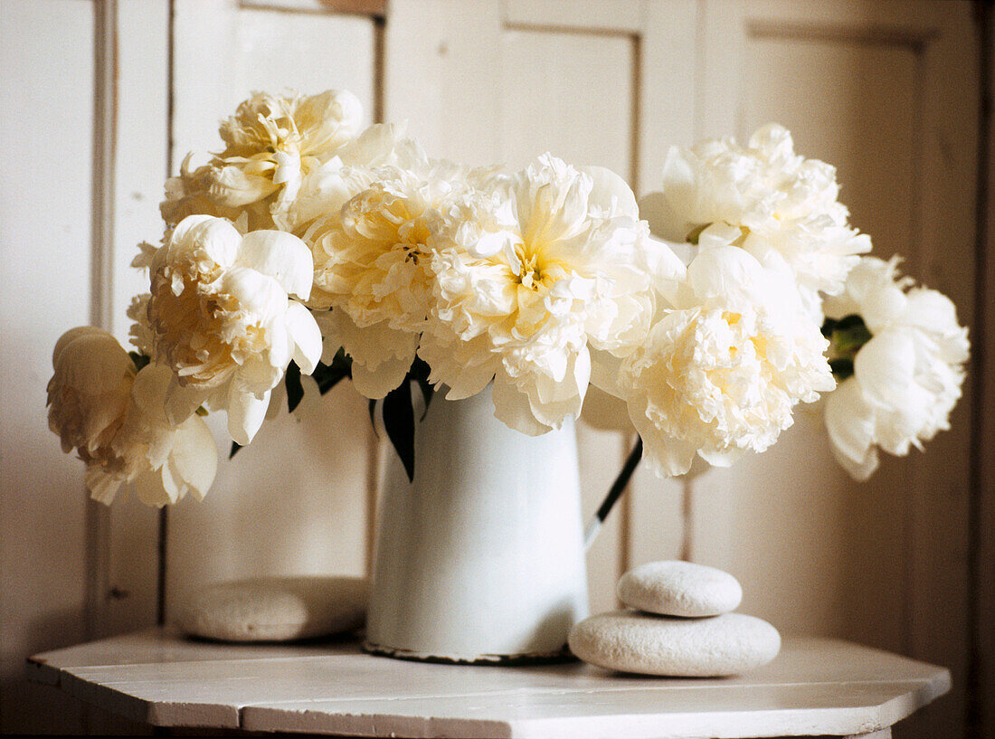 Tableaux in white of peonies in an enamel jug with weathered stones