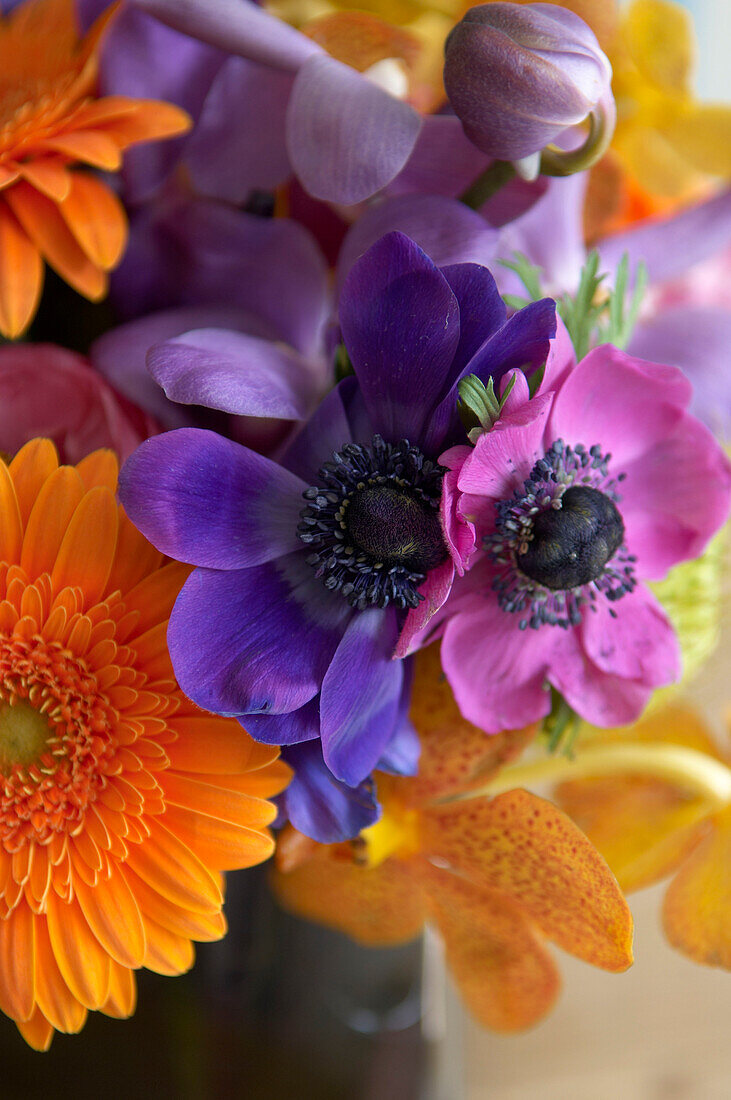 Detail einer lila und orangefarbenen Blumenauslage