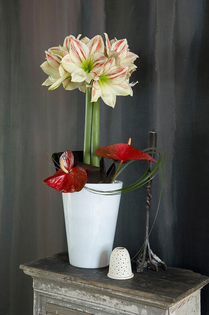 Blumenarrangement Amaryllis im Wohnzimmer auf einem Beistelltisch