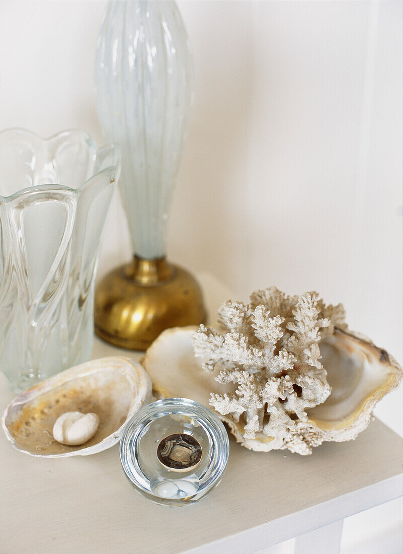 Group of natural objects including coral glass and seashells
