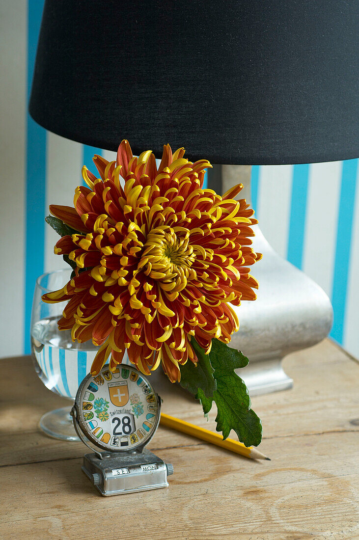 Black lampshade on wood table with cut flower and date reminder