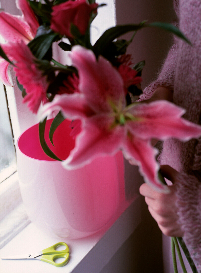 Frau stellt rosa Lilien in eine Vase am Fenster