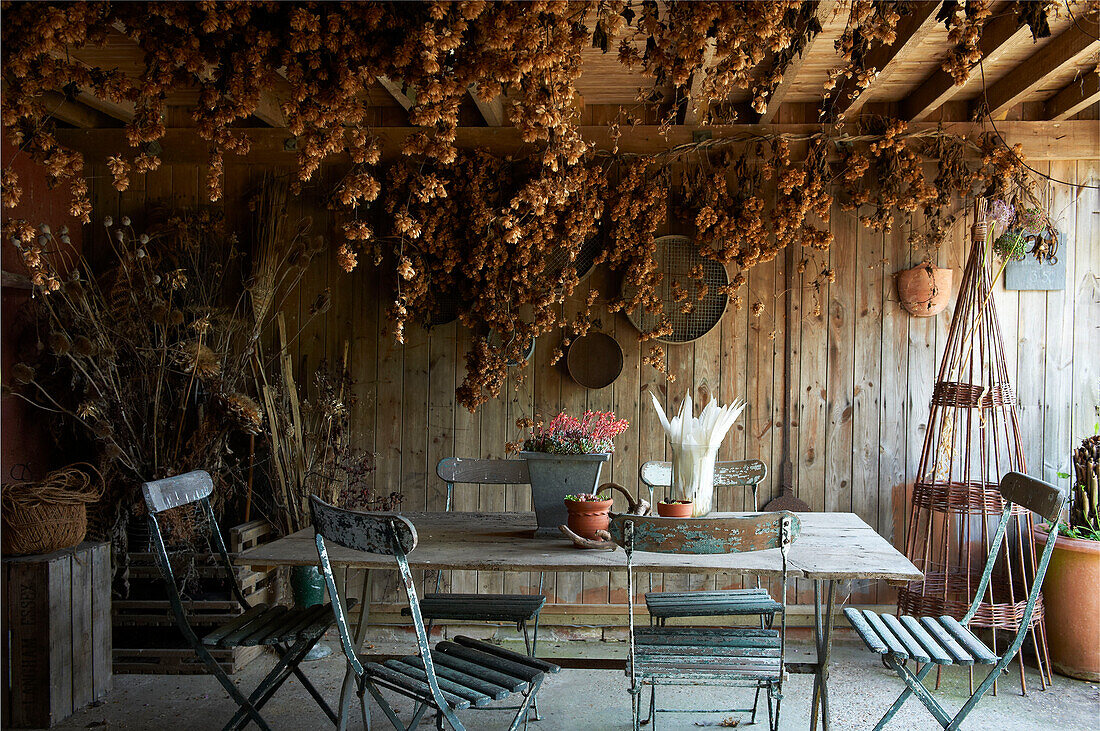 Getrocknete Blumen und geborgene Möbel im Gartenzimmer des Bauernhauses Iden, Rye, East Sussex, Vereinigtes Königreich