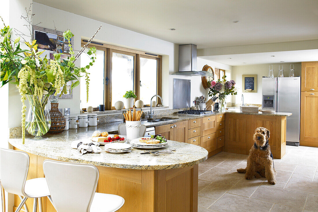 Dog sits in spacious fitted kitchen of Somerset new build in rural England UK