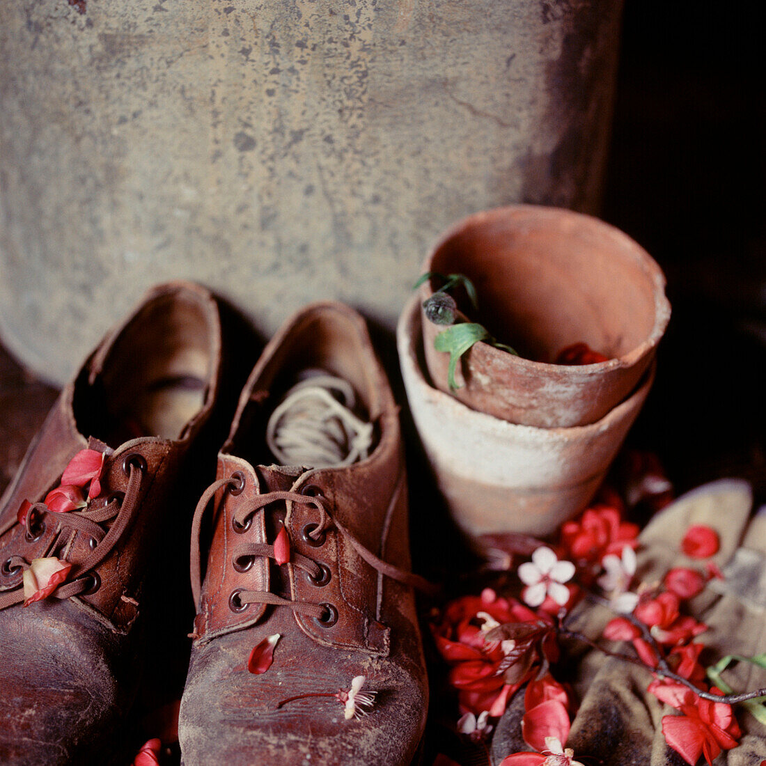 Still life of old gardening shoes flower pots and fresh flower petals in a potting shed