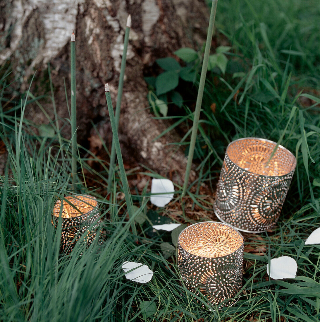 Three recycled metal tin candle holders with glowing candles at the bottom of a tree