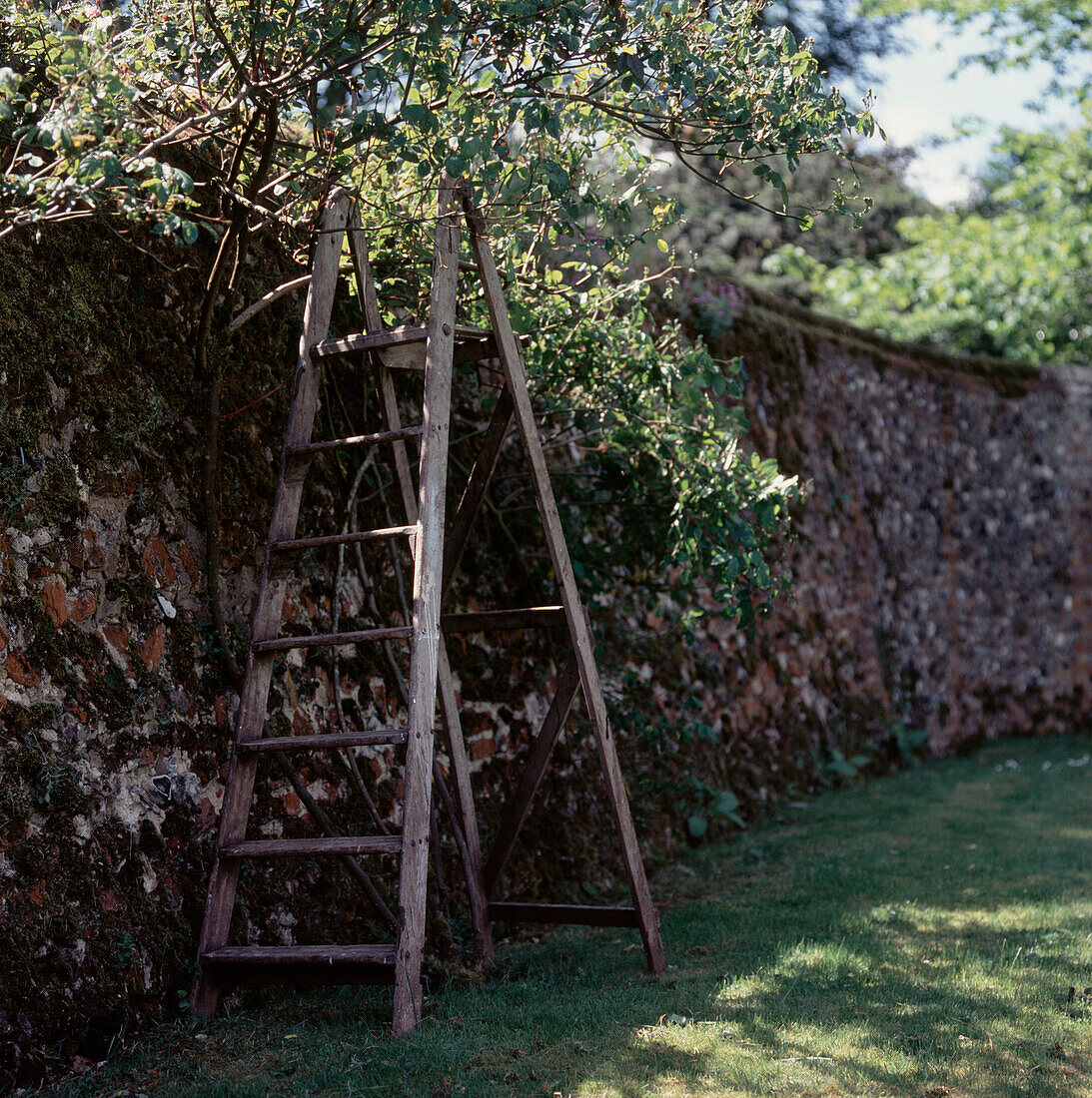 Alter ummauerter Garten mit Leiter