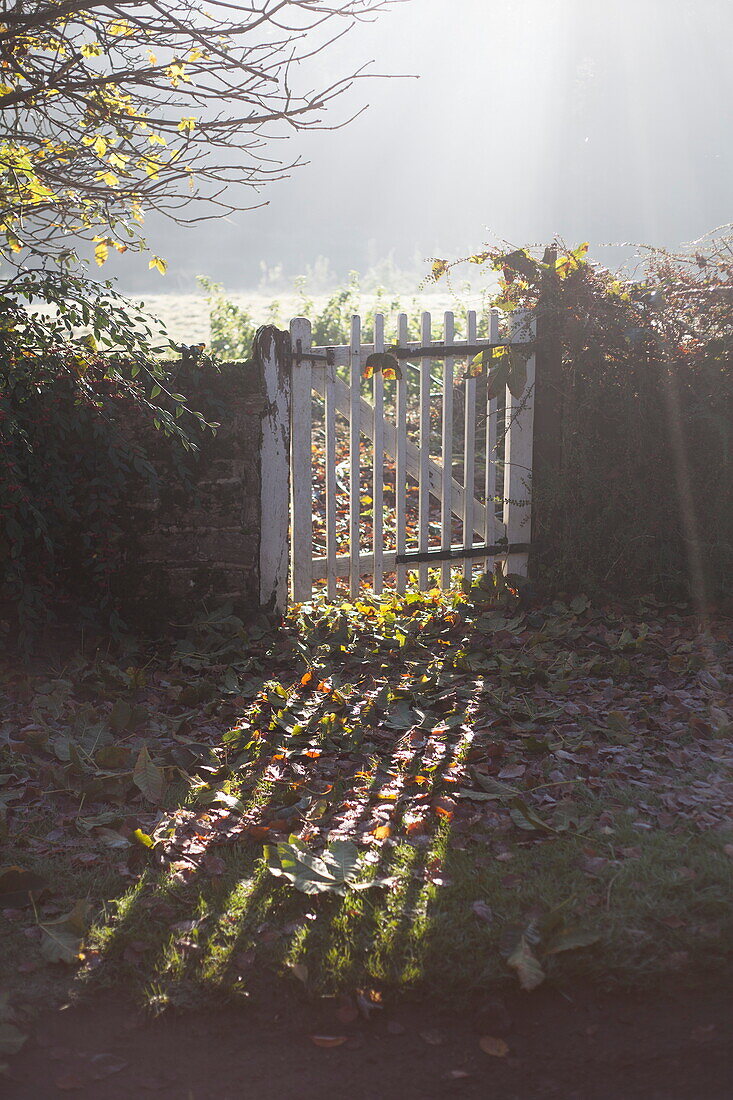 Feldtor wirft Schatten über Herbstblätter, Vereinigtes Königreich
