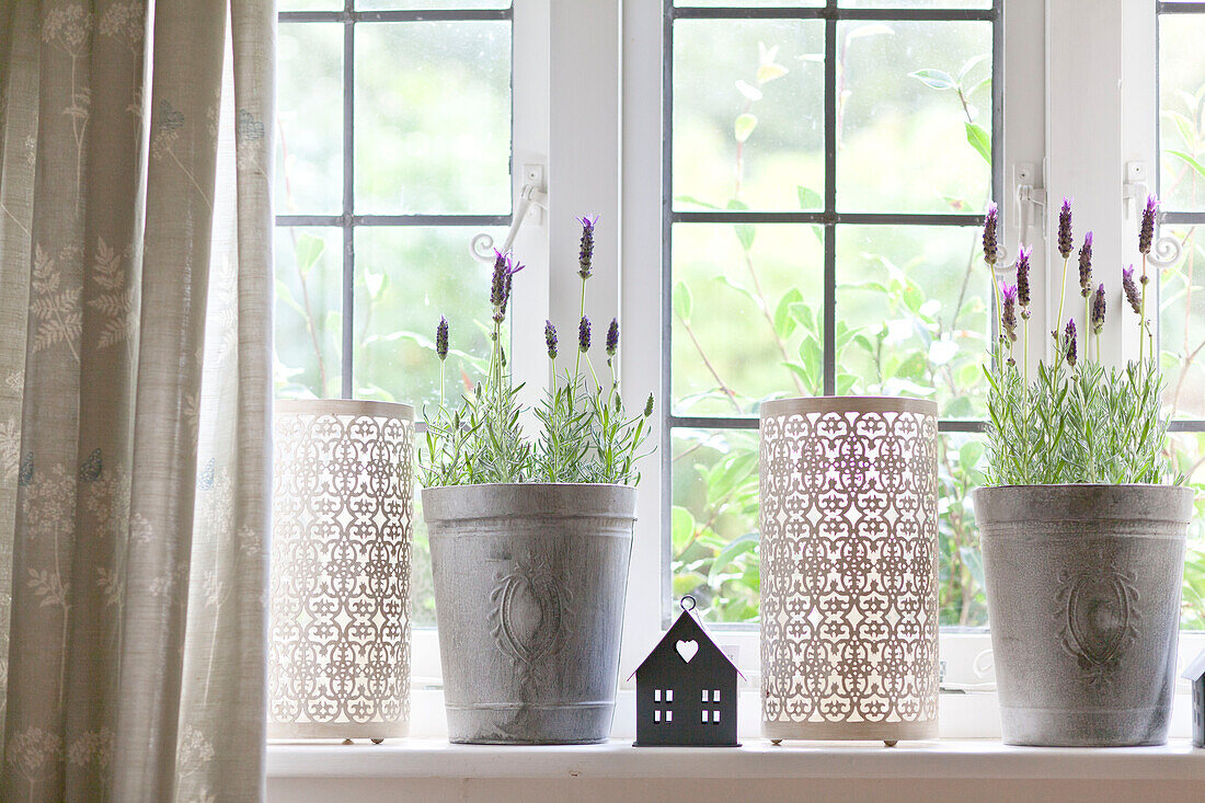 Lavendel mit Kerzenhaltern auf der Fensterbank in einem Cottage in Surrey, England UK