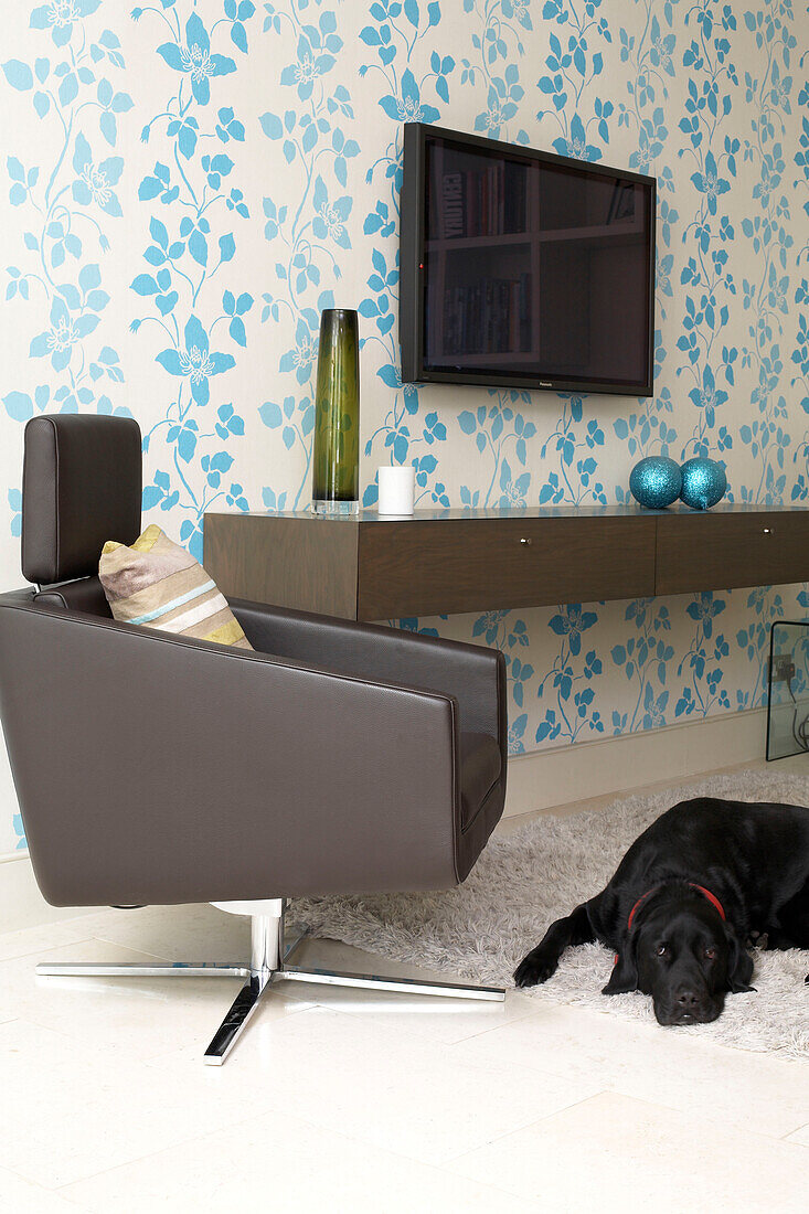 Hund liegt auf Teppich neben Stuhl in Wohnzimmer mit Plasmabildschirm auf Blümchentapete