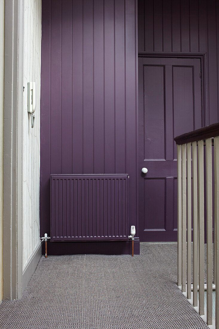 Gedämpfter violetter Anstrich auf einem Teppichboden in einem modernen Haus in Bristol, England, UK