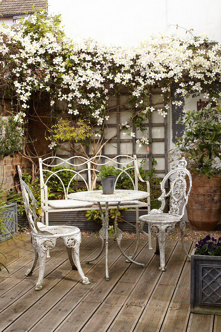 Blühender Jasmin mit schmiedeeisernem Tisch und Stühlen auf einer Veranda mit Spalier in einem Doppelhaus UK