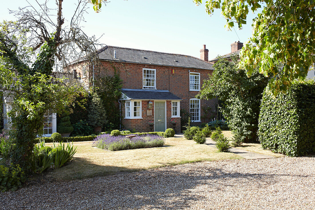 Lavender in front garden of detached brick Wiltshire home, England, UK