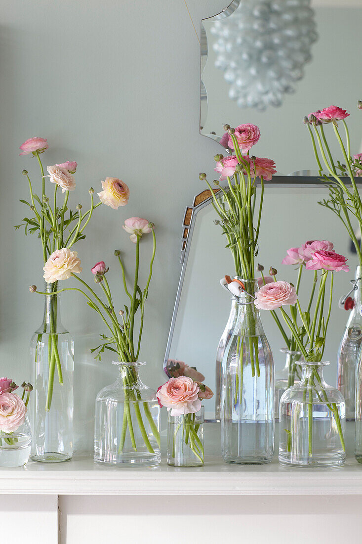 Schnittblumen in Glasgefäßen auf einem Regal in einem schottischen Wohnhaus UK
