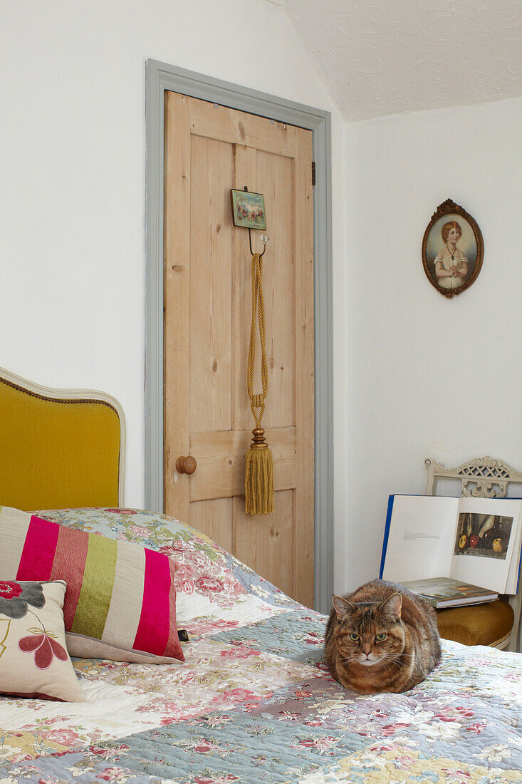 Katze auf geblümter Steppdecke im Schlafzimmer eines Hauses in East Cowes, Isle of Wight, Vereinigtes Königreich