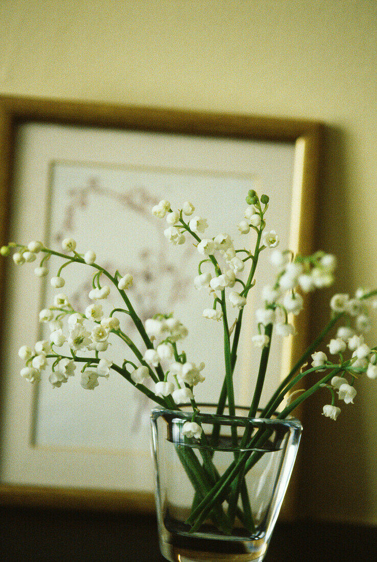 Detail of lily of the valley in glass vase on shelf