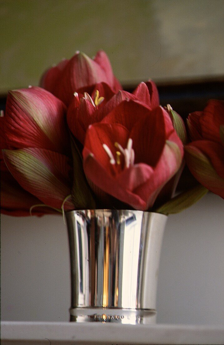 Blumen in einer Vase