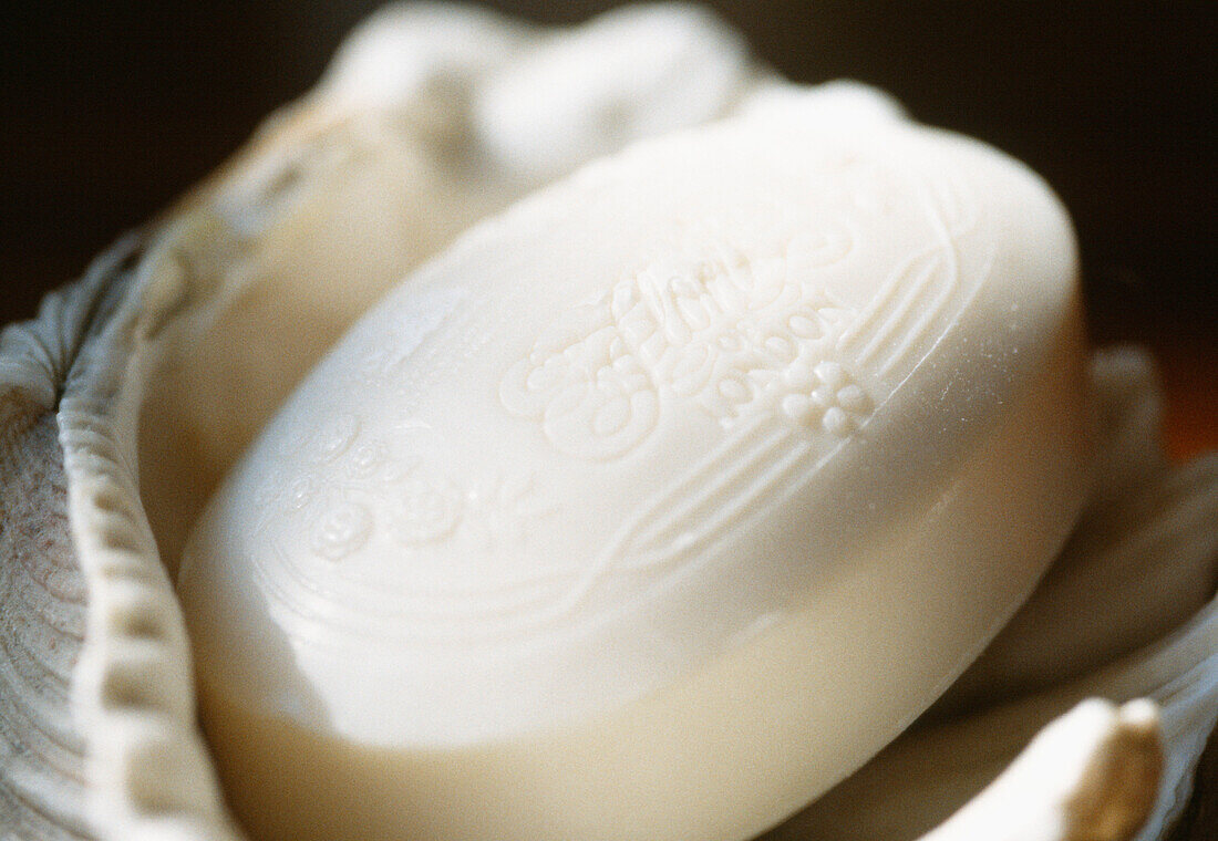 Close up of soap in a soap dish