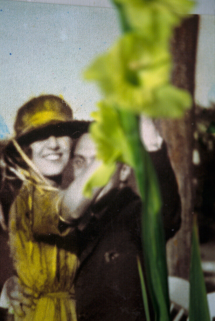 Detail von einem Gemälde mit Gladiolen