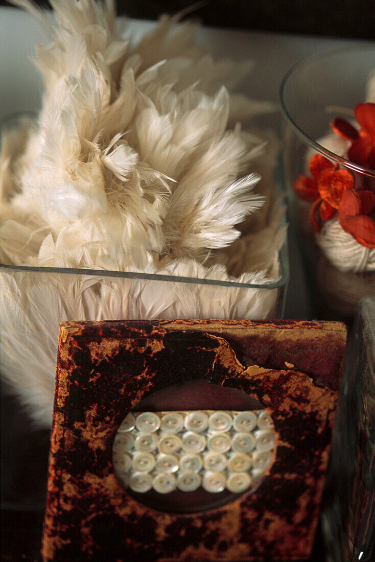 Still life with feathers and buttons